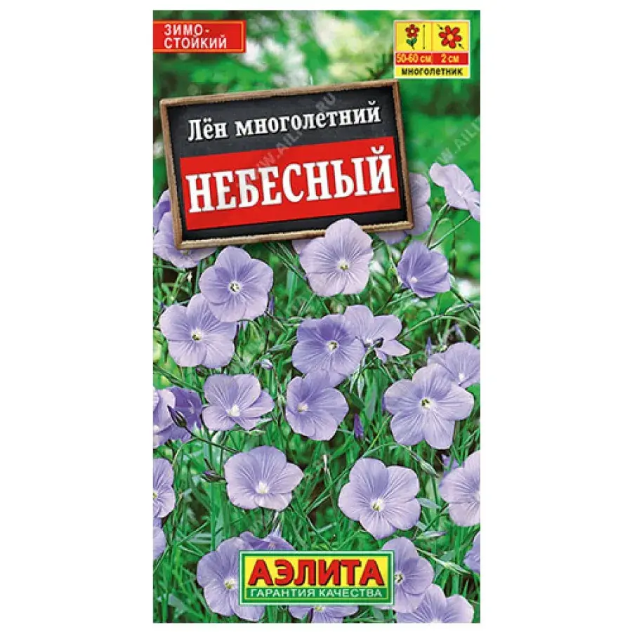 Лен многолетний Небесный