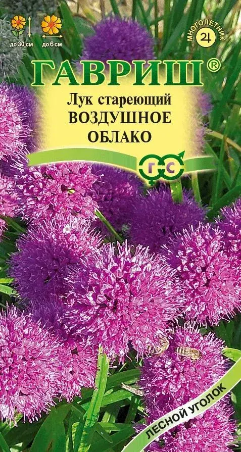 Лук стареющий, Воздушное облако (декорат.)