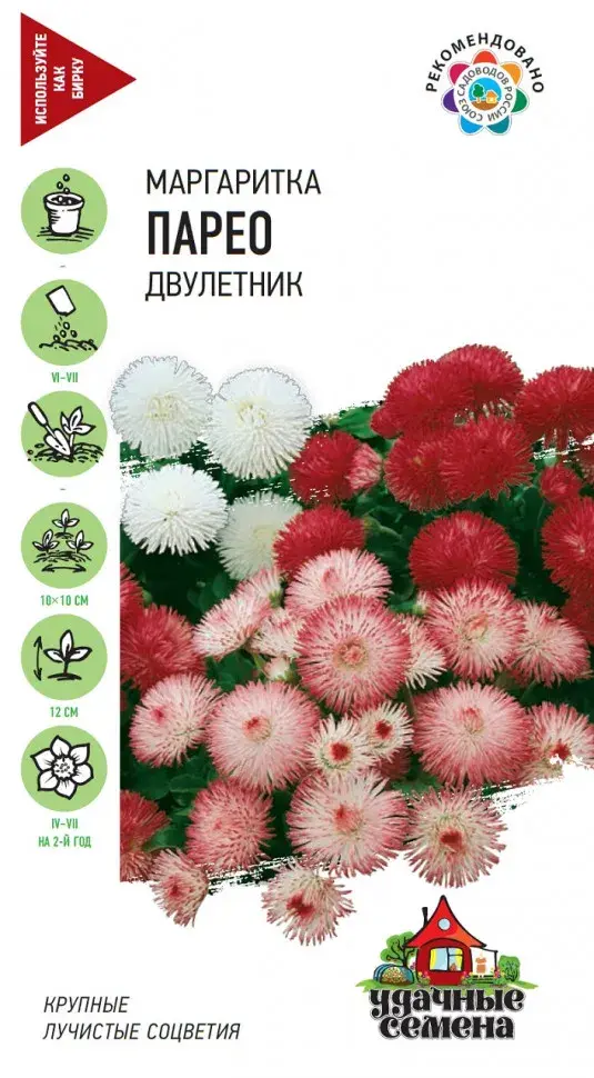 Маргаритка ПАРЕО двулетник