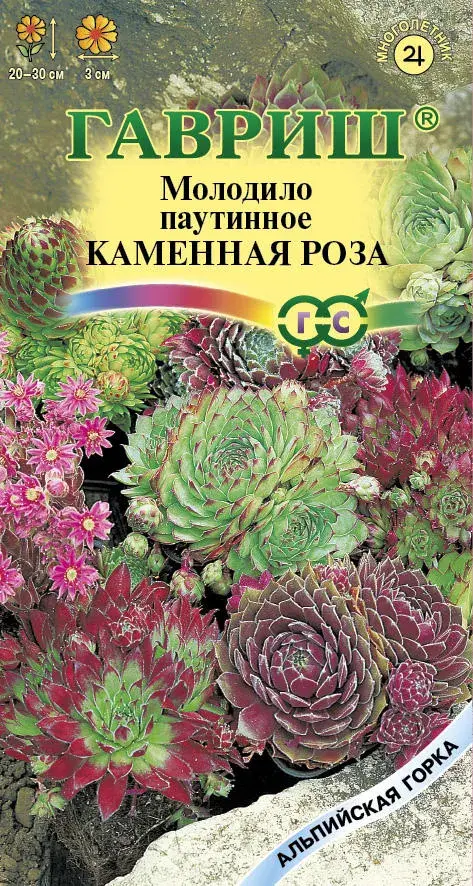 Молодило Каменная Роза* 0,01 г серия Альпийская горка