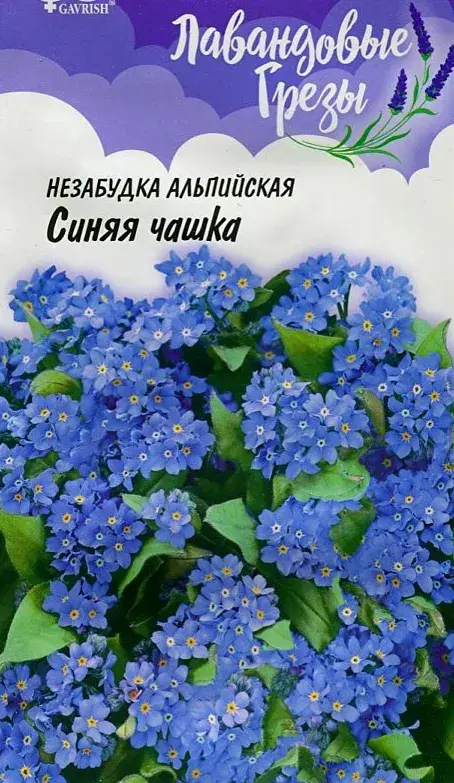 Незабудка альпийская СИНЯЯ ЧАШКА