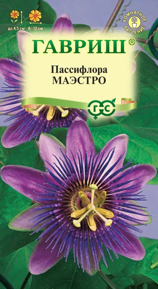 Пассифлора Маэстро (съедобная)* 5 шт.