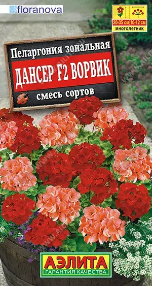 Пеларгония Дансер F2 Ворвик