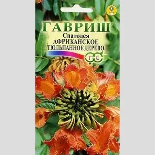 Спатодея Африканское тюльпанное дерево