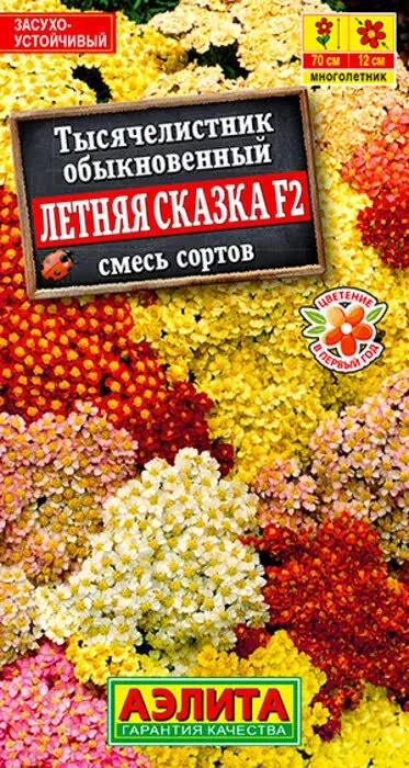 Тысячелистник Летняя сказка F2