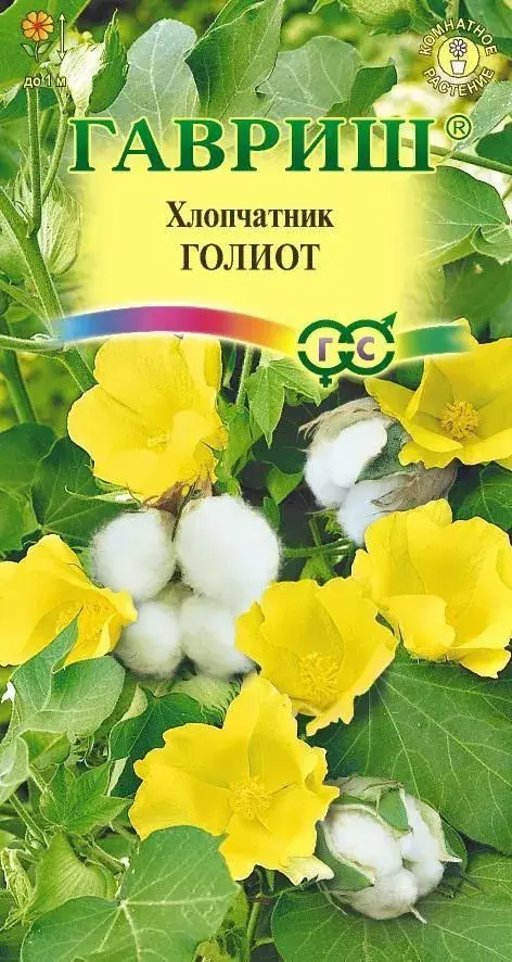 Хлопчатник Голиот сахарная вата