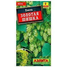Хмель Золотая шишка