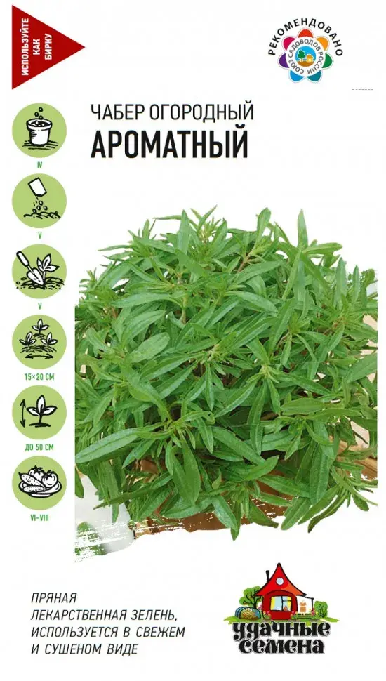 Чабер Ароматный - Ганга