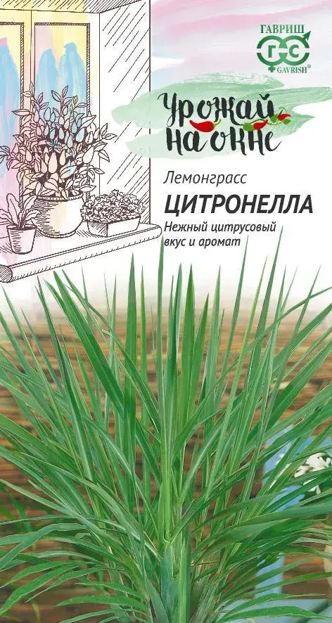 Челнобородник  (Лимонная трава) Цитронелла