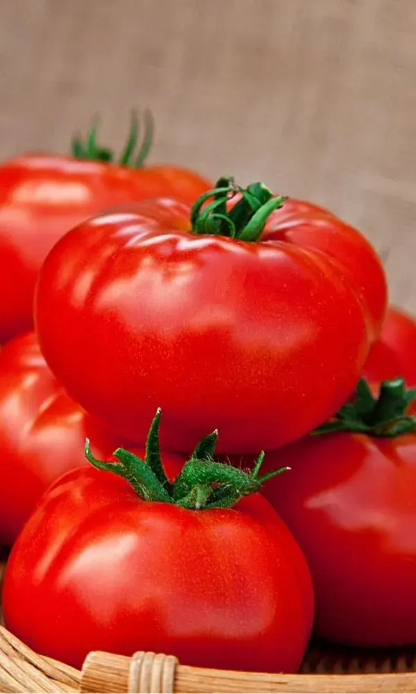 Улаан лооль Монах 