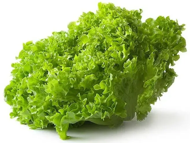 Салат навч Лолло Бионда