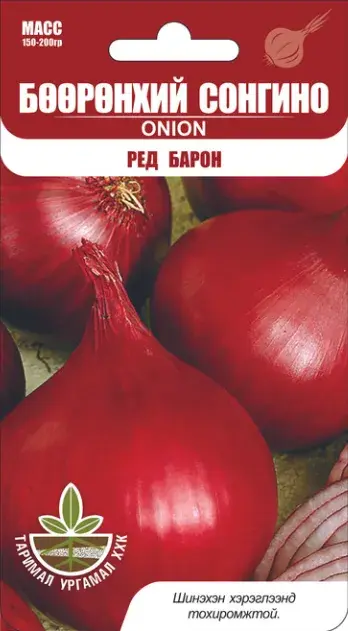 Бөөрөнхий сонгино Red Baron кг