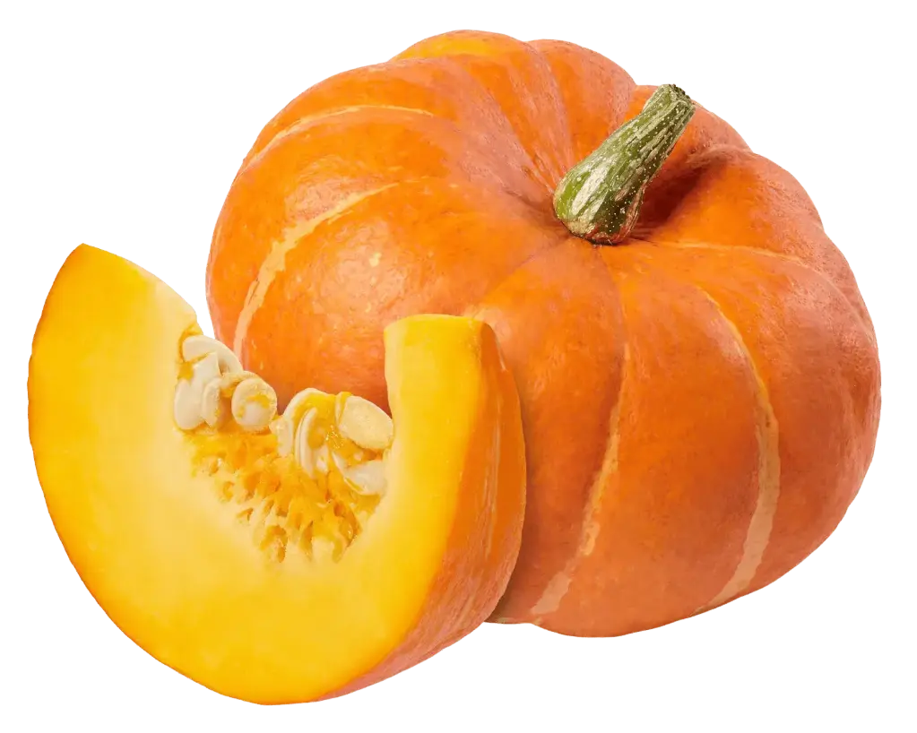 Бөөрөнхий хулуу Atlantic Giant  /414.380/