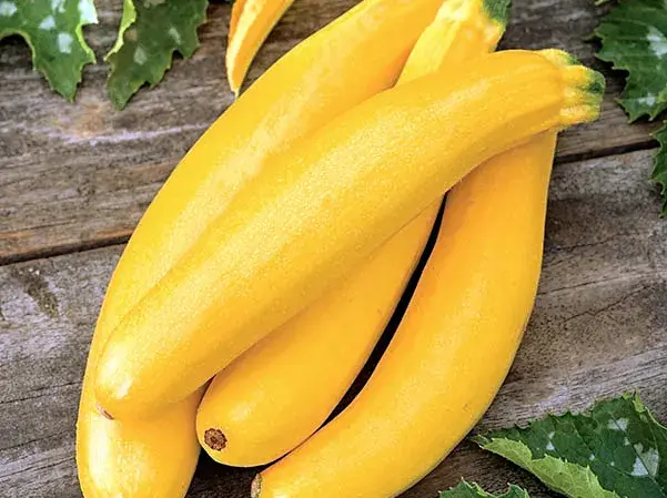 Хулуу Bananovy Song