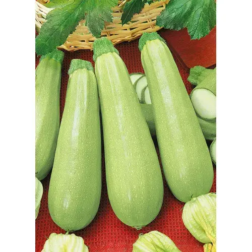 Хулуу Грибовские 37