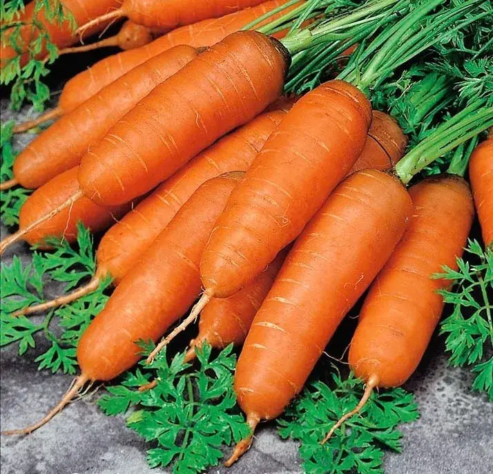 Лууван Мигнон