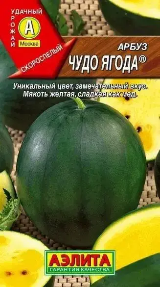 Арбуз  Чудо Ягода 