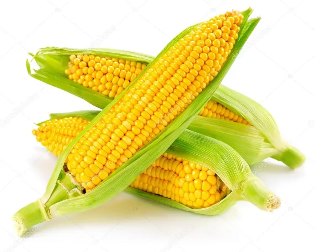 Эрдэнэ шиш plomyk /442.900/