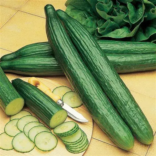 Өргөст хэмх Эффект 100ш