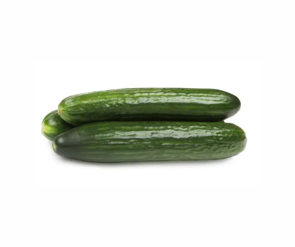 Өргөст хэмх Евгения 50ш