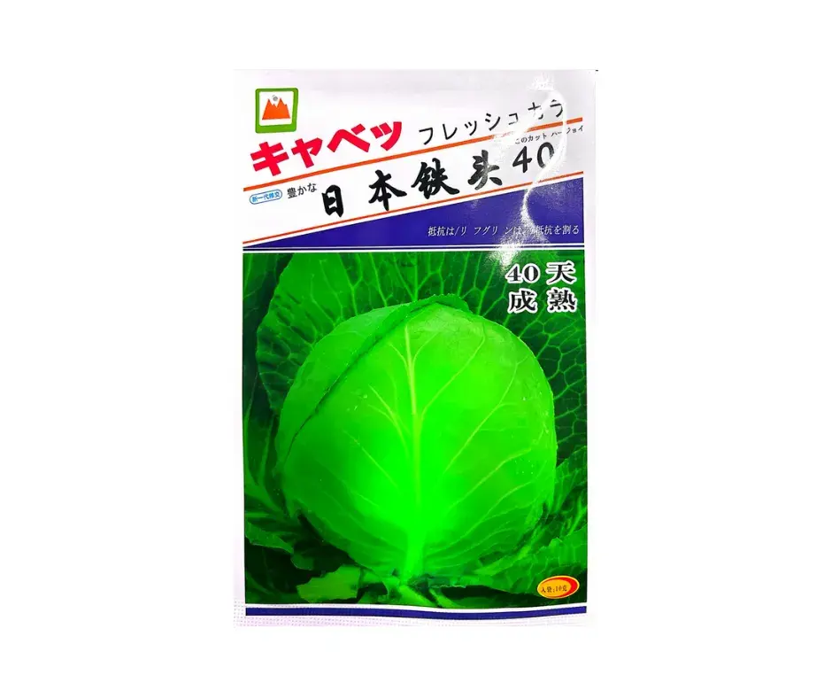 Төмөр Толгой - Бөөрөнхий байцай 40 хоногтой /Япон/