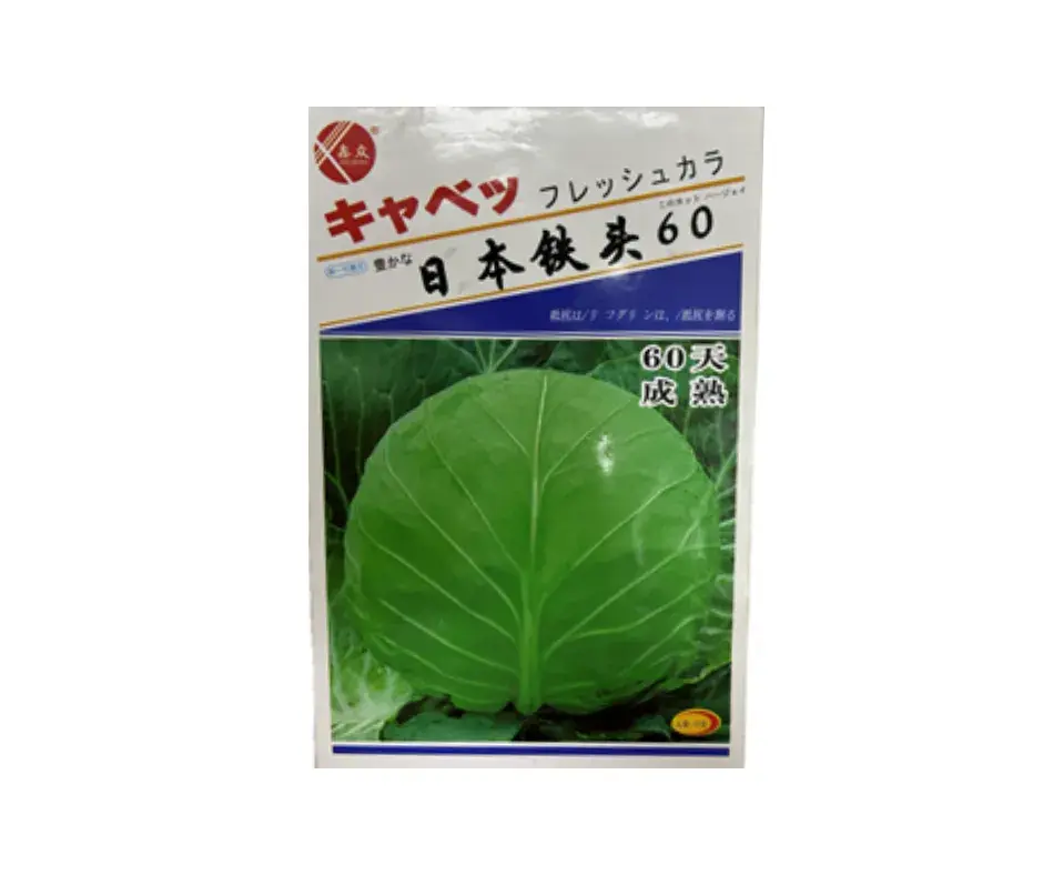 Төмөр Толгой - Бөөрөнхий байцай 60 хоногтой / Япон /