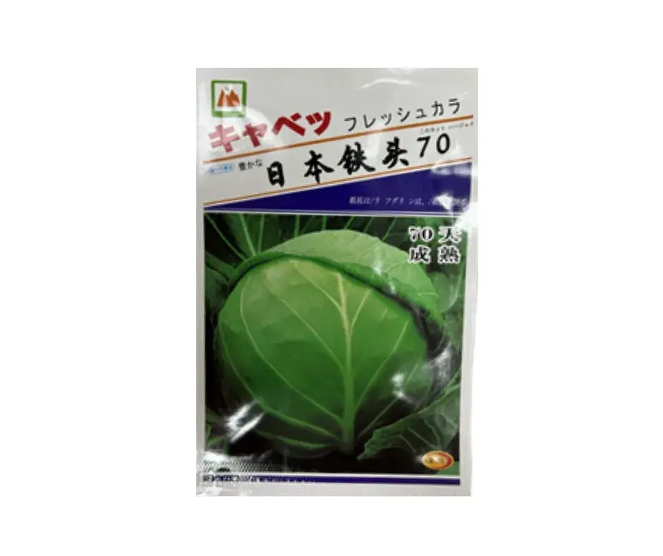 Төмөр Толгой - Бөөрөнхий байцай 70хоногтой / Япон /