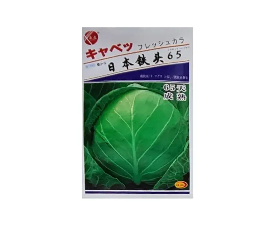 Төмөр Толгой - Бөөрөнхий байцай 65 хоногтой / Япон /