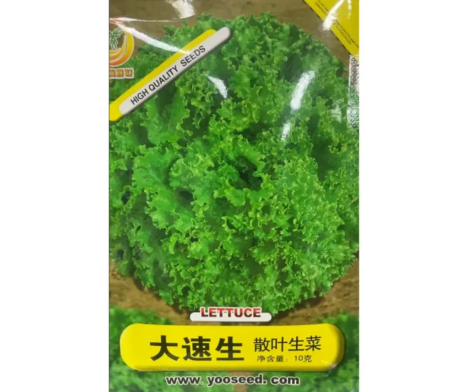 Салат навч lettuce 