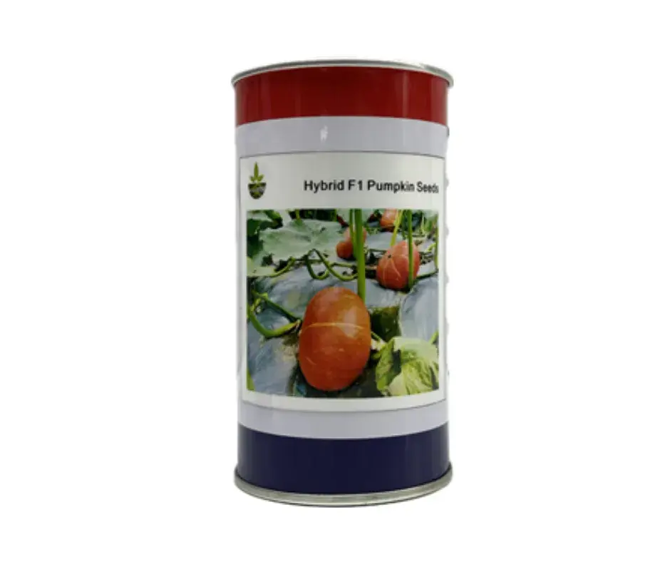 Бөөрөнхий шар хулуу лаазтай