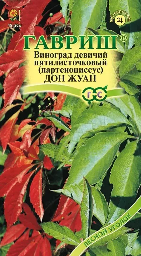Виноград девичий /Партеноциссус пятилисточковый/ Дон Жуа