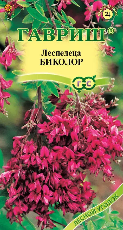 Леспедеца двуцветная Биколор* 5 шт.