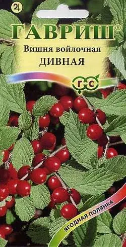 Вишня Дивная (войлочная)