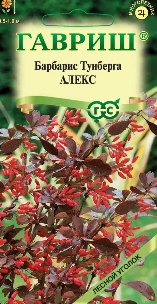 Барбарис Алекс (Тунберга)