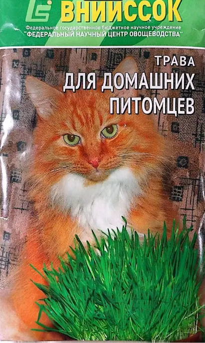 Трава для домашних питомцев