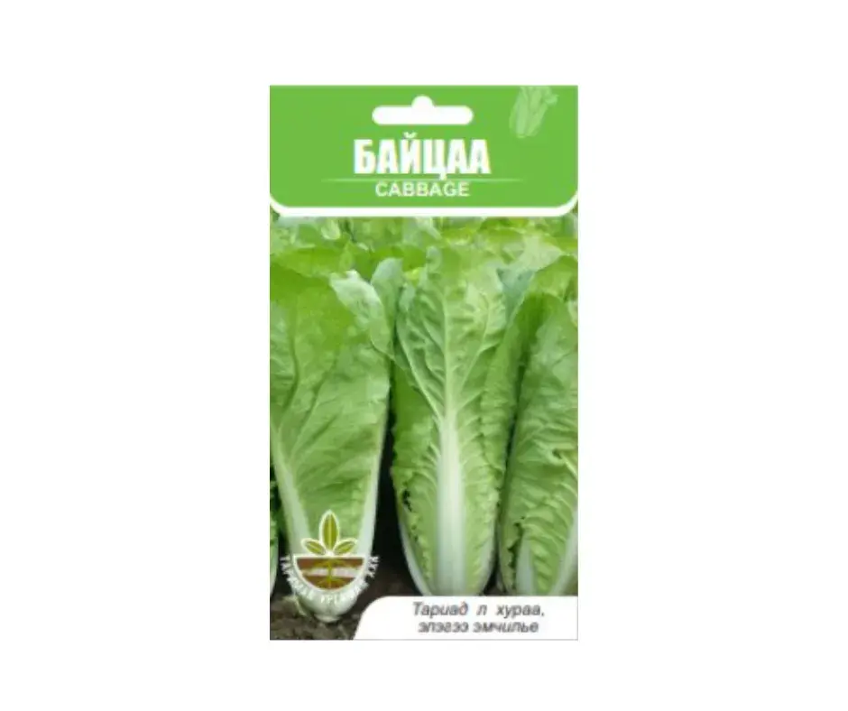 Байцай Chinese Cabbage - Таримал Ургамал