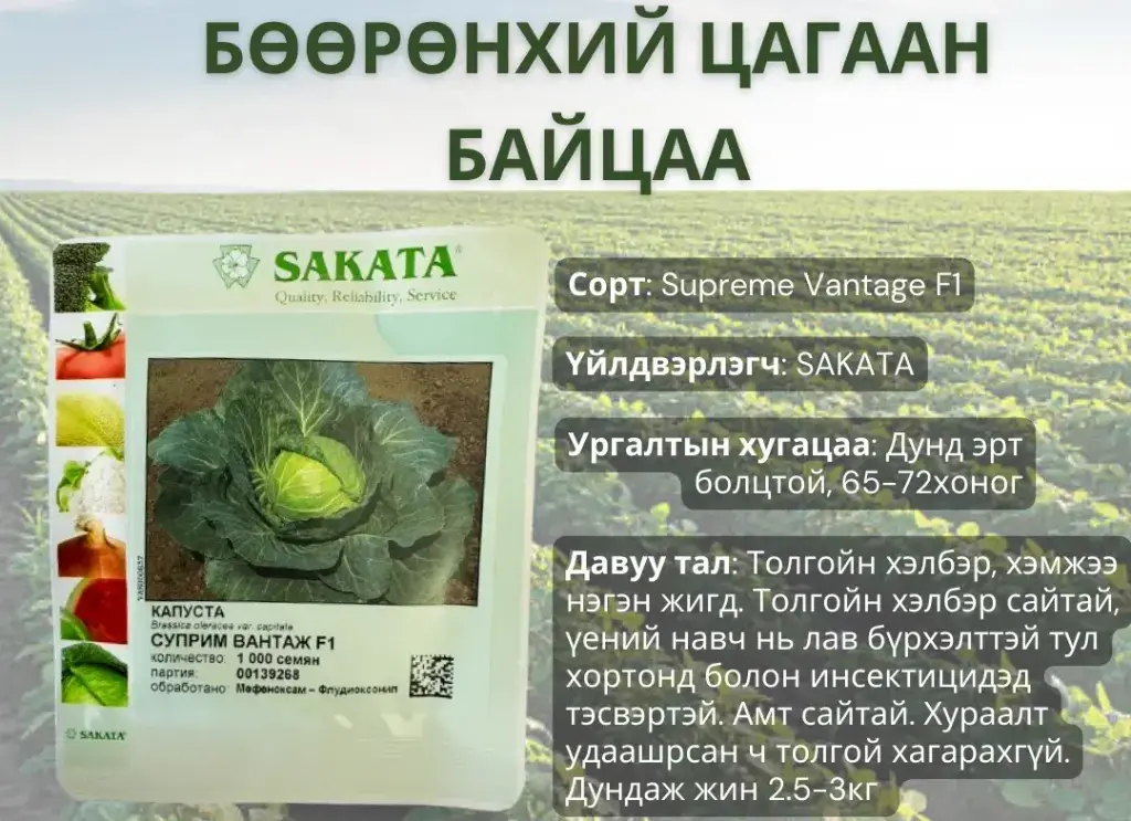 Байцаа Суприм вантаж F1