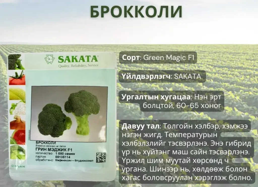 Брокколи байцаа Грин мэджик