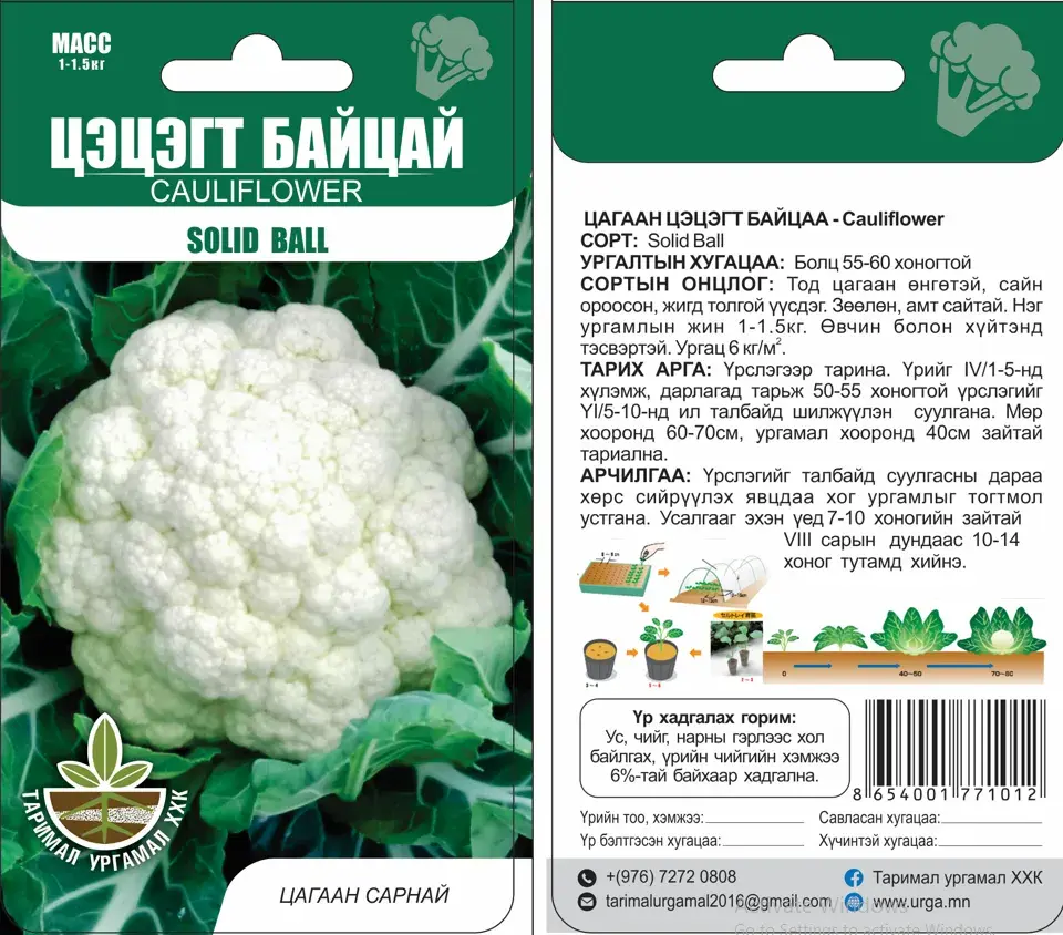 Цэцэгт байцай Cauliflower Solid Ball - Таримал Ургамал