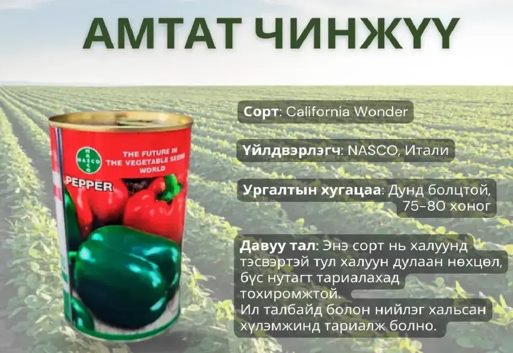 Амтат чинжүү /100 гр лаазтай/