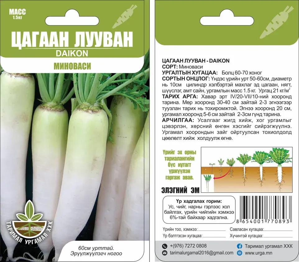 Цагаан лууван Daikon Миноваси - Таримал Ургамал