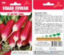 Улаан лууван Radish De Dix-Huit jours(18 Dniowa) - Таримал Ургамал