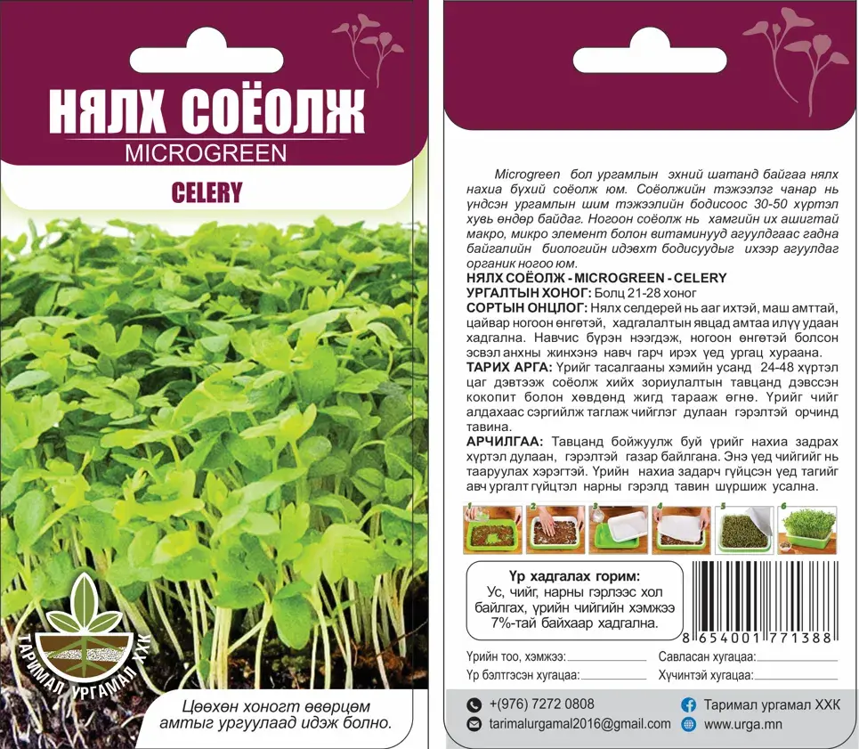 Нялх соёолж Celery - Таримал Ургамал