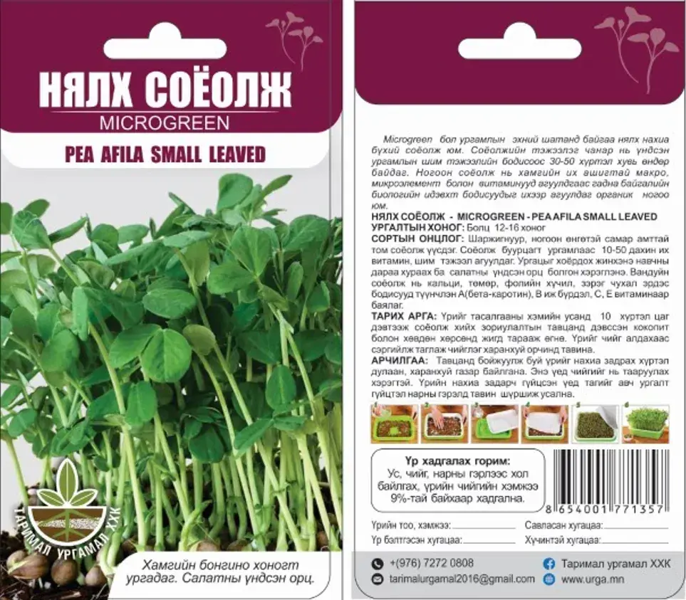 Нялх соёолж Microgreen Pea afila small leaved - Таримал Ургамал