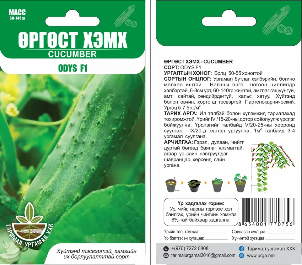 Өргөст хэмх Odys F1 - Таримал ургамал