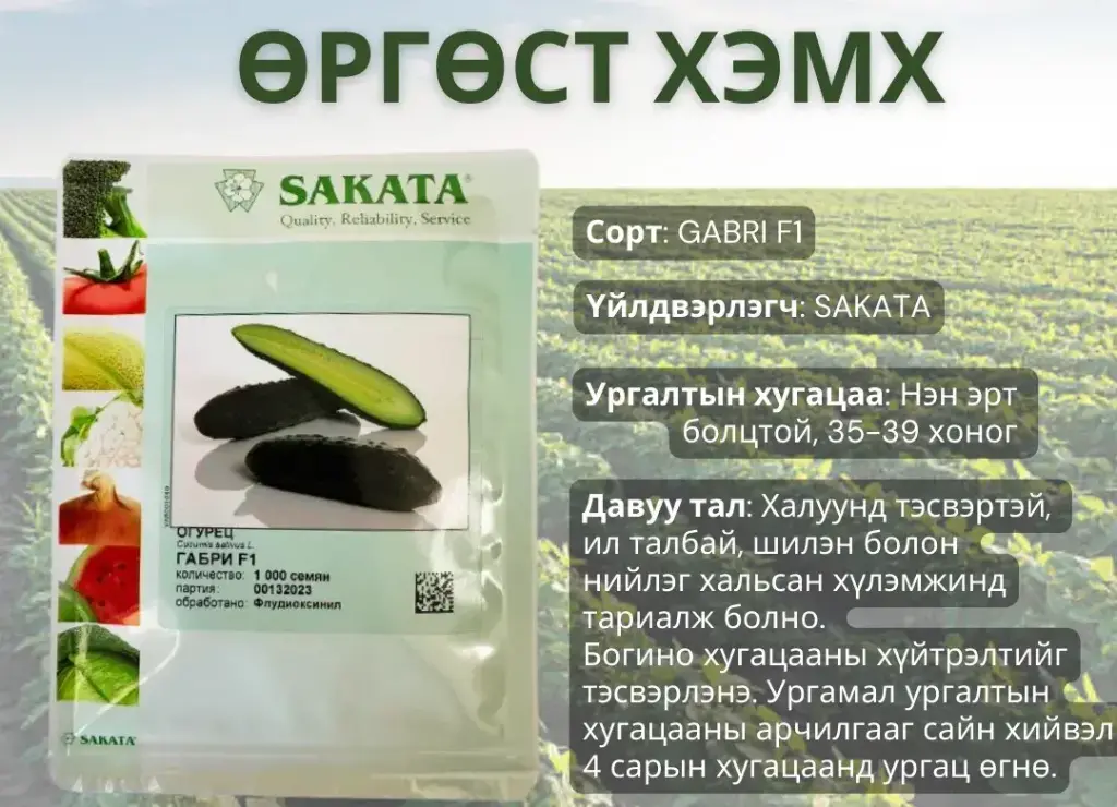 Өргөст хэмх Габри