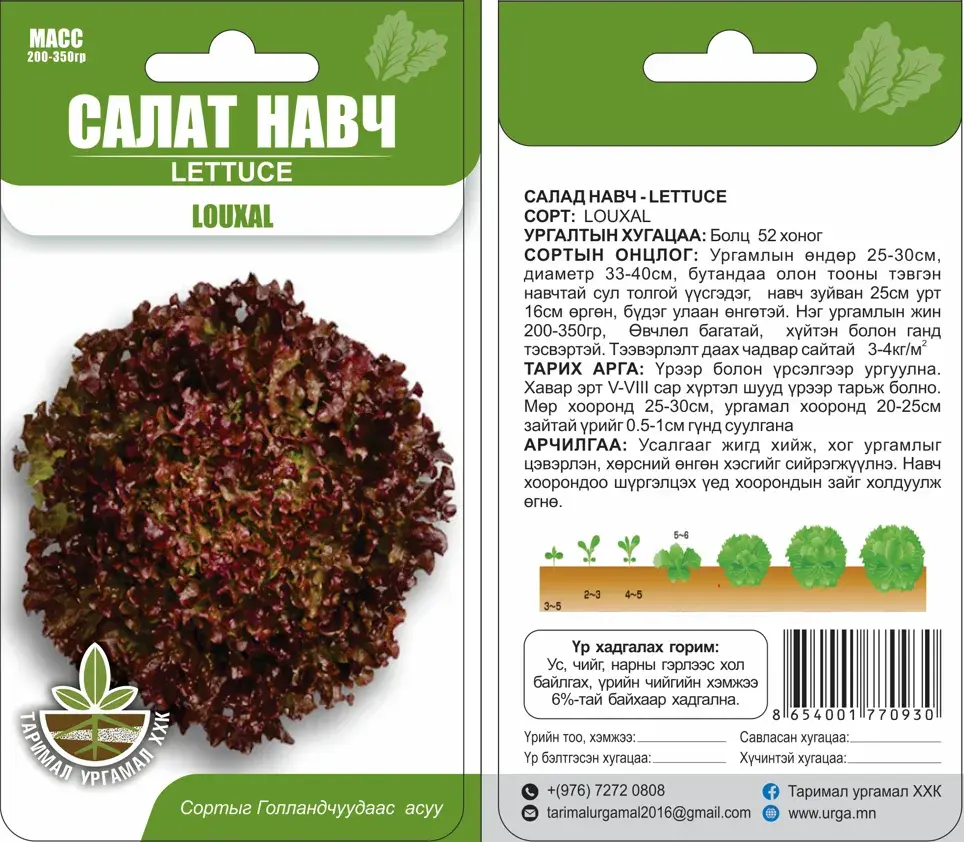 Салат навч Lettuce Louxal - Таримал Ургамал