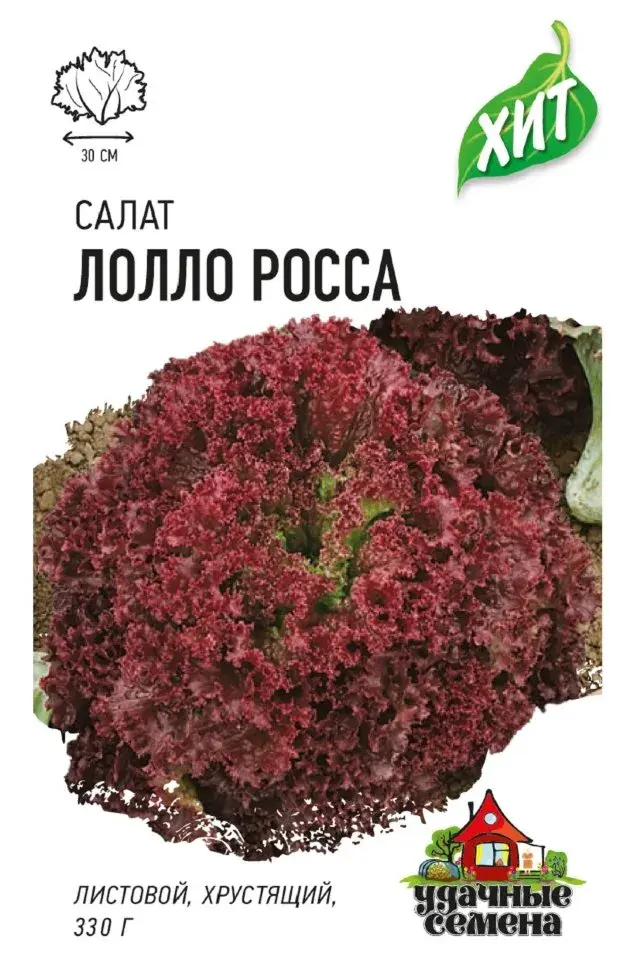 Салат навч улаан Lettuce lollo rossa - Таримал Ургамал
