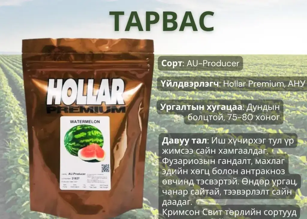Тарвас Hollar 500 гр ууттай