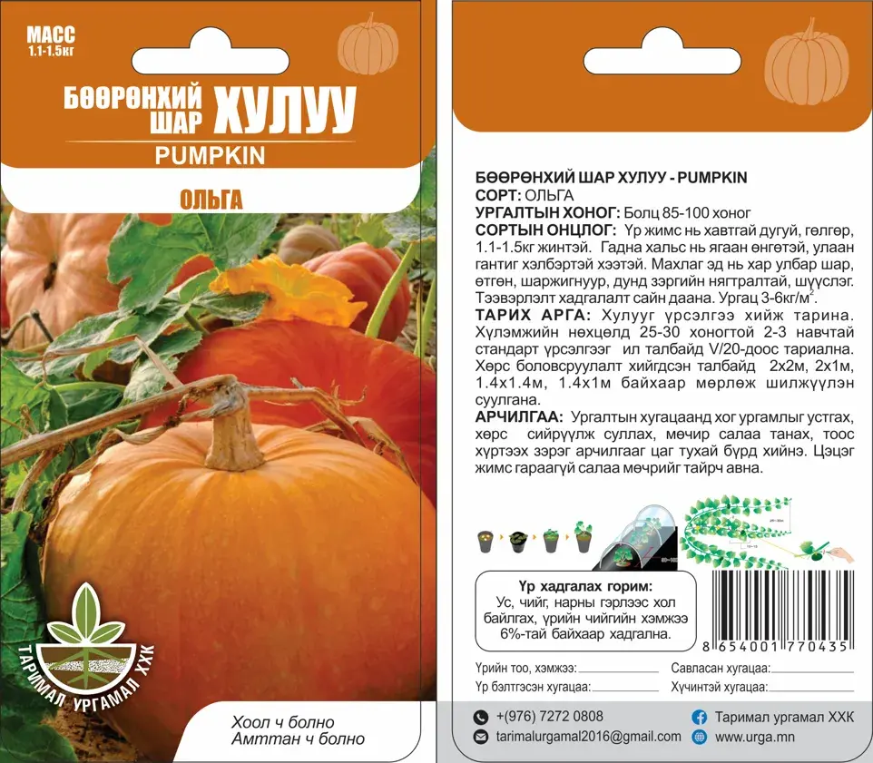 Хулуу Pumpkin Ольга - Таримал Ургамал